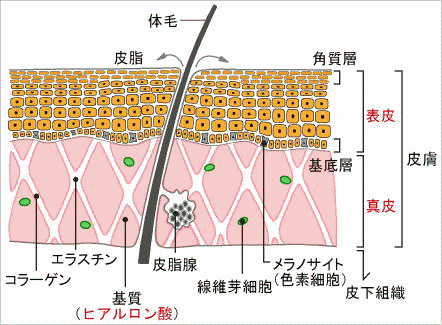 畆̃qA_